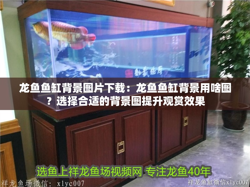 龍魚魚缸背景圖片下載：龍魚魚缸背景用啥圖？選擇合適的背景圖提升觀賞效果