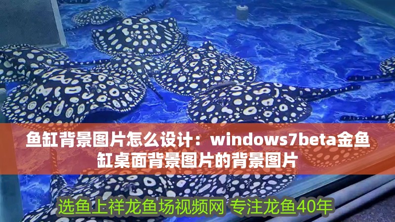 魚缸背景圖片怎么設計：windows7beta金魚缸桌面背景圖片的背景圖片