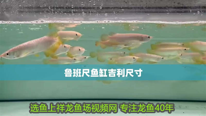 魯班尺魚缸吉利尺寸