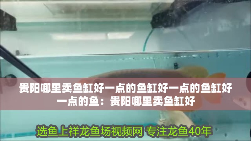 貴陽哪里賣魚缸好一點(diǎn)的魚缸好一點(diǎn)的魚缸好一點(diǎn)的魚：貴陽哪里賣魚缸好