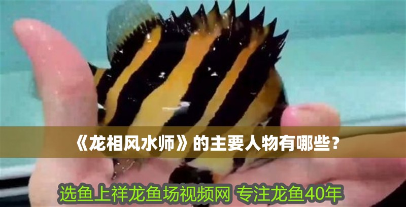 《龍相風(fēng)水師》的主要人物有哪些？