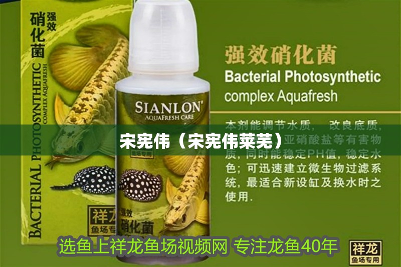 宋憲偉（宋憲偉萊蕪）