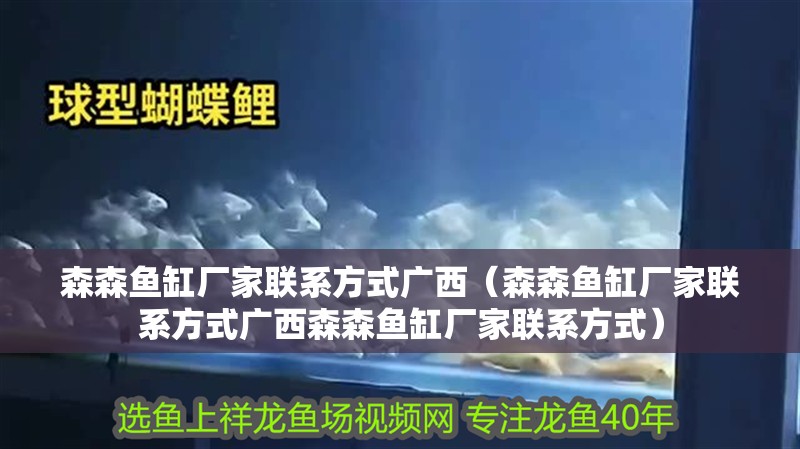 森森魚缸廠家聯系方式廣西（森森魚缸廠家聯系方式廣西森森魚缸廠家聯系方式）