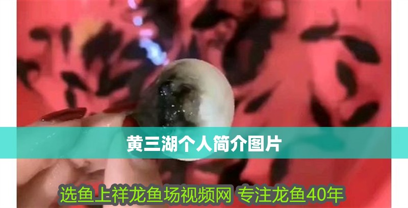 黃三湖個人簡介圖片