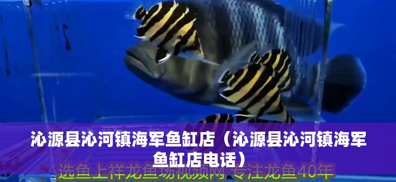 沁源縣沁河鎮海軍魚缸店（沁源縣沁河鎮海軍魚缸店電話）