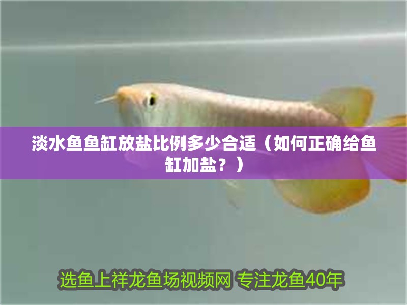 淡水魚魚缸放鹽比例多少合適（如何正確給魚缸加鹽？）