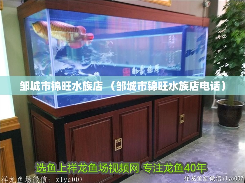 鄒城市錦旺水族店 （鄒城市錦旺水族店電話）