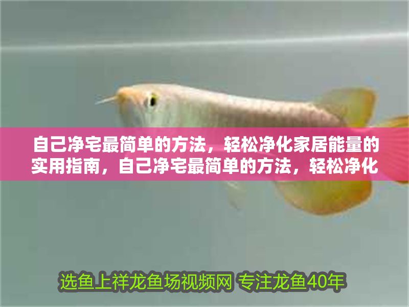 自己凈宅最簡單的方法，輕松凈化家居能量的實用指南，自己凈宅最簡單的方法，輕松凈化家居能量的實用指南 自己凈宅最簡單的方法，輕松凈化家居能量的實用指南，自己凈宅最簡單的方法，輕松凈化家居能量的實用指南 龍魚百科 第1張