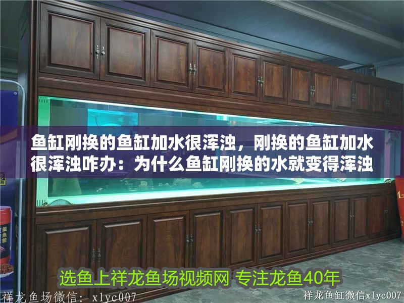 魚缸剛換的魚缸加水很渾濁，剛換的魚缸加水很渾濁咋辦：為什么魚缸剛換的水就變得渾濁？