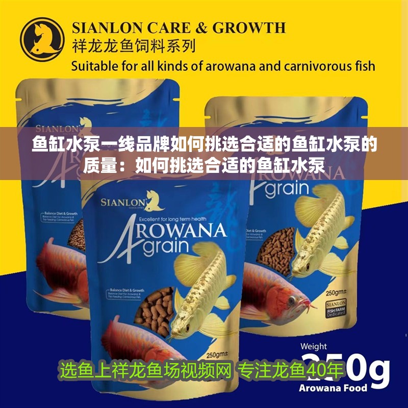 魚缸水泵一線品牌如何挑選合適的魚缸水泵的質量：如何挑選合適的魚缸水泵 魚缸水泵一線品牌如何挑選合適的魚缸水泵的質量：如何挑選合適的魚缸水泵 魚缸百科