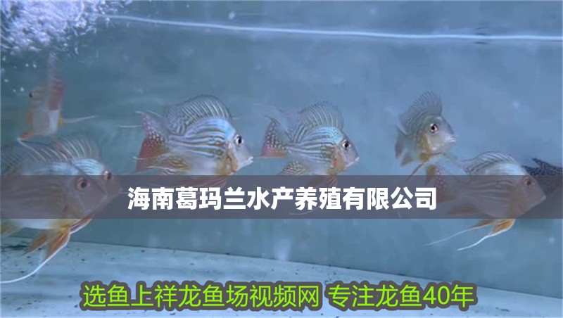 <strong><mark>海南</mark></strong>葛瑪蘭水產(chǎn)養(yǎng)殖有限公司