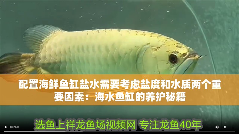 配置海鮮魚缸鹽水需要考慮鹽度和水質(zhì)兩個(gè)重要因素：海水魚缸的養(yǎng)護(hù)秘籍 配置海鮮魚缸鹽水需要考慮鹽度和水質(zhì)兩個(gè)重要因素：海水魚缸的養(yǎng)護(hù)秘籍 魚缸百科