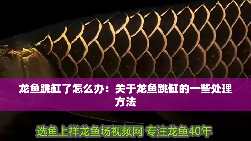 龍魚跳缸了怎么辦：關于龍魚跳缸的一些處理方法