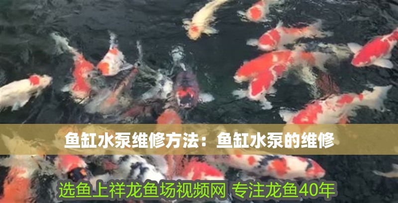 魚缸水泵維修方法：魚缸水泵的維修