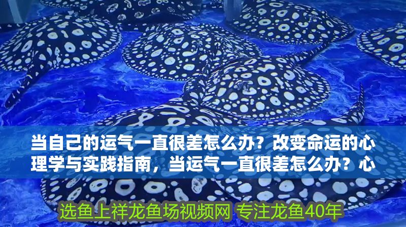 當自己的運氣一直很差怎么辦？改變命運的心理學與實踐指南，當運氣一直很差怎么辦？心理學方法與實用技巧幫你扭轉命運