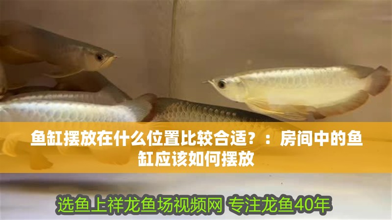 魚缸擺放在什么位置比較合適？：房間中的魚缸應該如何擺放