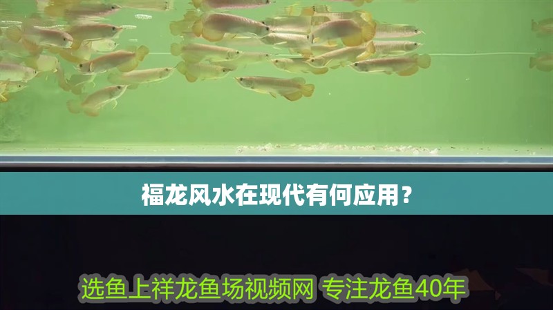 福龍風水在現(xiàn)代有何應用？