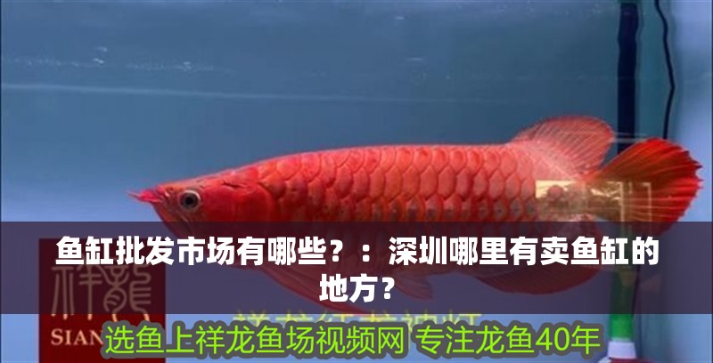 龍魚干蝦有營養嗎 魚缸批發市場有哪些?:深圳哪里有賣魚缸的地方? 魚缸百科 魚缸批發市場有哪些?:深圳哪里有賣魚缸的地方? 魚缸批發市場有哪些?:深圳哪里有賣魚缸的地方? 魚缸百科