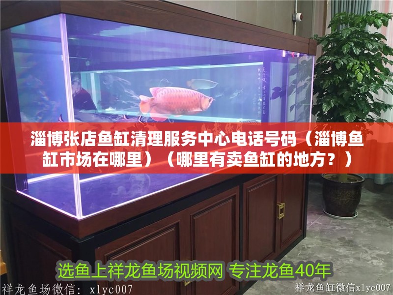 淄博張店魚缸清理服務中心電話號碼（淄博魚缸市場在哪里）（哪里有賣魚缸的地方？） 淄博張店魚缸清理服務中心電話號碼（淄博魚缸市場在哪里）（哪里有賣魚缸的地方？） 魚缸百科