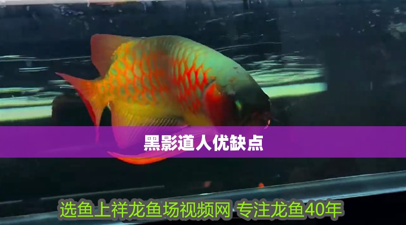 黑影道人優缺點