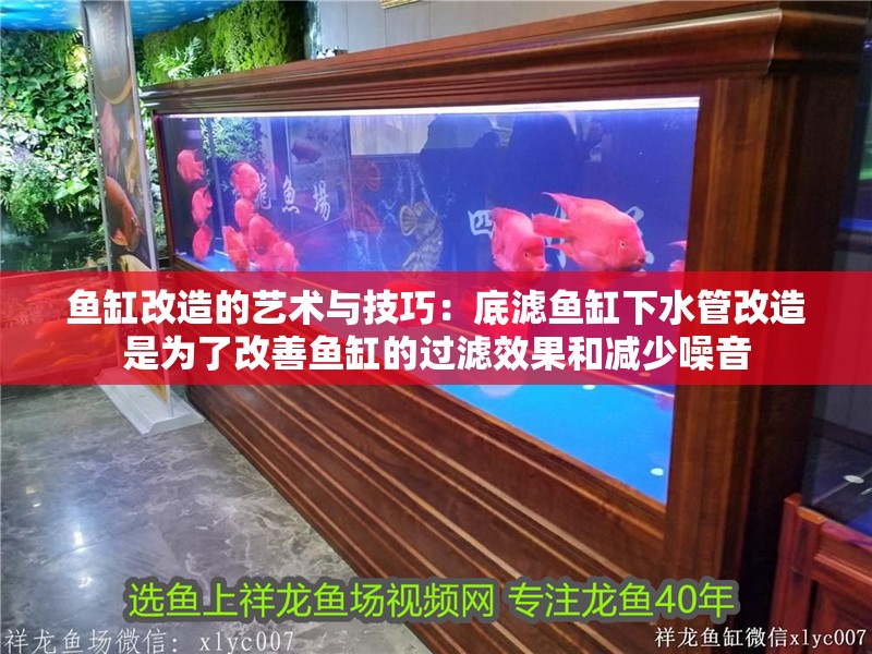 魚缸改造的藝術與技巧：底濾魚缸下水管改造是為了改善魚缸的過濾效果和減少噪音
