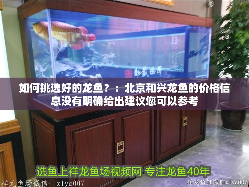 如何挑選好的龍魚？：<strong><mark>北京</mark></strong>和興龍魚的價格信息沒有明確給出建議您可以參考