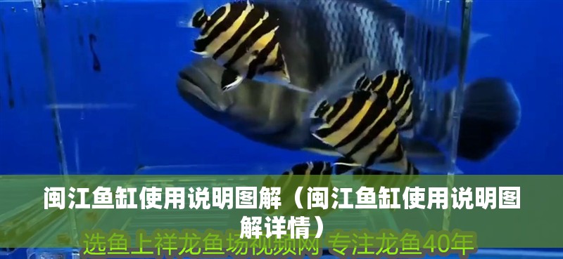 龍魚怕什么 閩江魚缸使用說明圖解(閩江魚缸使用說明圖解詳情) 魚缸百科 閩江魚缸使用說明圖解(閩江魚缸使用說明圖解詳情) 閩江魚缸使用說明圖解(閩江魚缸使用說明圖解詳情) 魚缸百科