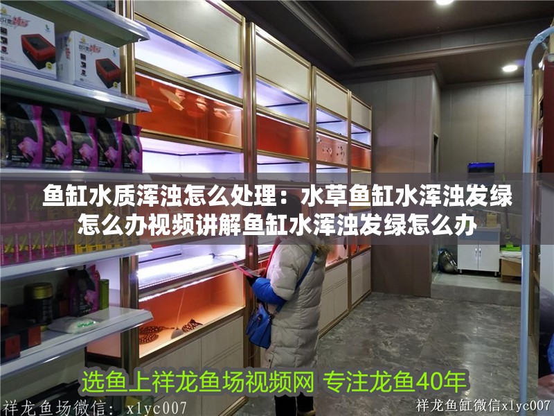 魚缸水質(zhì)渾濁怎么處理：水草魚缸水渾濁發(fā)綠怎么辦視頻講解魚缸水渾濁發(fā)綠怎么辦 魚缸水質(zhì)渾濁怎么處理：水草魚缸水渾濁發(fā)綠怎么辦視頻講解魚缸水渾濁發(fā)綠怎么辦 魚缸百科