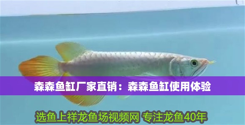 森森魚缸廠家直銷：森森魚缸使用體驗