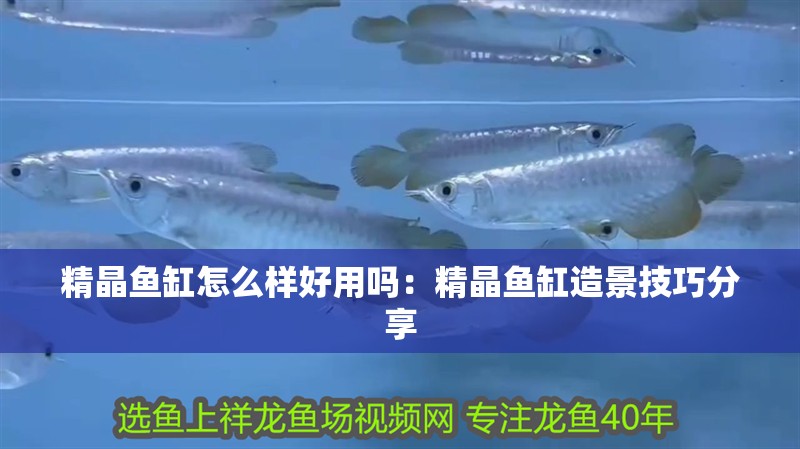 精晶魚缸怎么樣好用嗎：精晶魚缸造景技巧分享