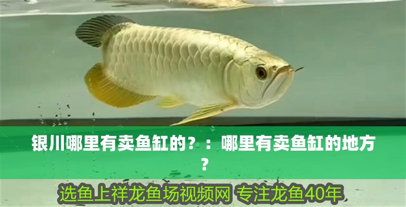 銀川哪里有賣(mài)魚(yú)缸的？：哪里有賣(mài)魚(yú)缸的地方？