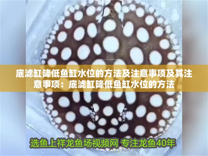 我的虎魚真菌感染了要怎么處理 底濾缸降低魚缸水位的方法及注意事項及其注意事項:底濾缸降低魚缸水位的方法 魚缸百科 底濾缸降低魚缸水位的方法及注意事項及其注意事項:底濾缸降低魚缸水位的方法 底濾缸降低魚缸水位的方法及注意事項及其注意事項:底濾缸降低魚缸水位的方法 魚缸百科