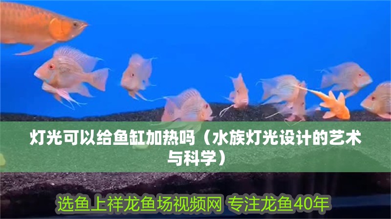 燈光可以給魚缸加熱嗎（水族燈光設(shè)計(jì)的藝術(shù)與科學(xué)）