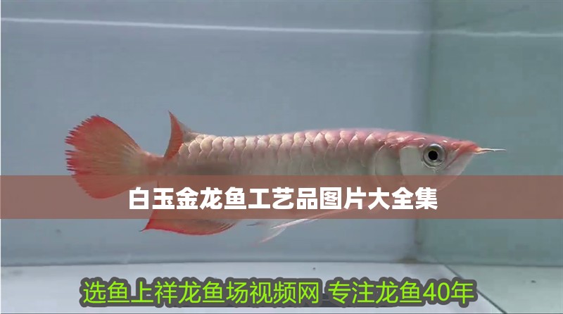 白玉金龍魚工藝品圖片大全集