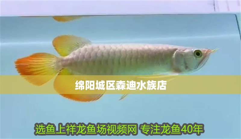 綿陽城區森迪水族店 綿陽城區森迪水族店 全國水族館企業名錄