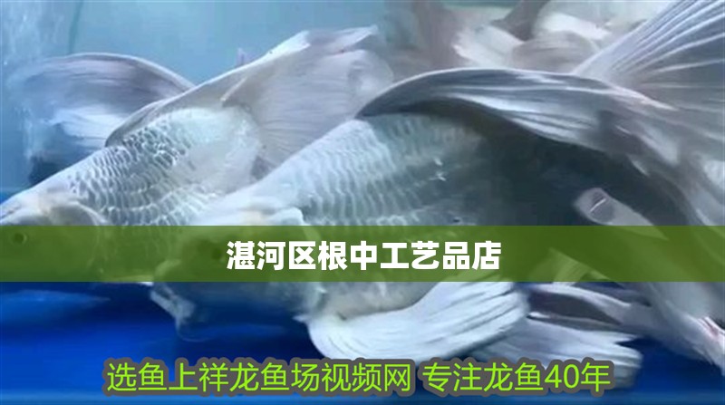 湛河區根中工藝品店