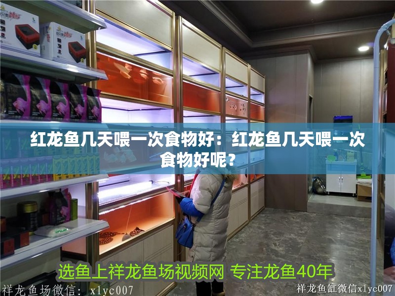 紅龍魚幾天喂一次食物好：紅龍魚幾天喂一次食物好呢？