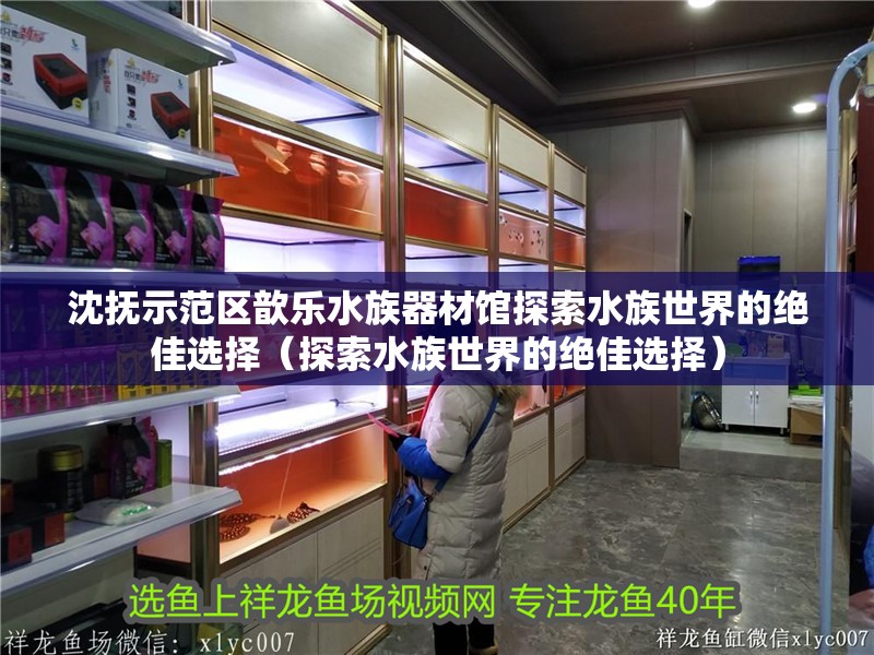 沈撫示范區歆樂水族器材館探索水族世界的絕佳選擇（探索水族世界的絕佳選擇）