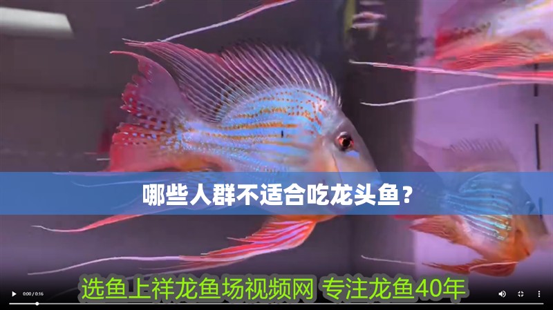 哪些人群不適合吃龍頭魚？
