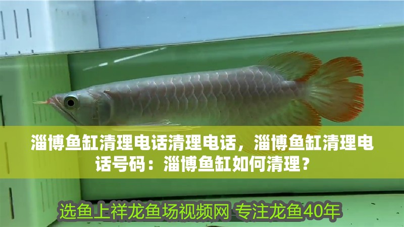 淄博魚缸清理電話清理電話，淄博魚缸清理電話號碼：淄博魚缸如何清理？