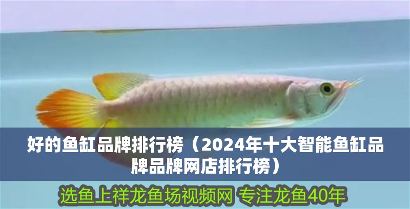 好的魚缸品牌排行榜（2024年十大智能魚缸品牌品牌網店排行榜）