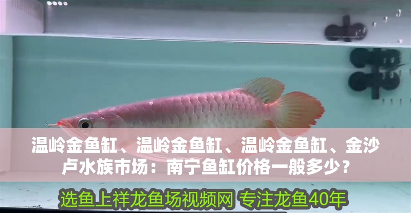 溫嶺金魚缸、溫嶺金魚缸、溫嶺金魚缸、<strong><mark>金沙</mark></strong>盧水族市場：南寧魚缸價格一般多少？