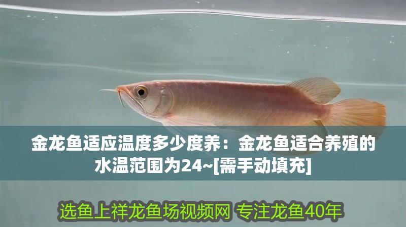 金龍魚適應溫度多少度養：金龍魚適合養殖的水溫范圍為24~[需手動填充]
