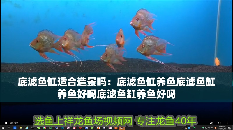 底濾魚缸適合造景嗎：底濾魚缸養(yǎng)魚底濾魚缸養(yǎng)魚好嗎底濾魚缸養(yǎng)魚好嗎
