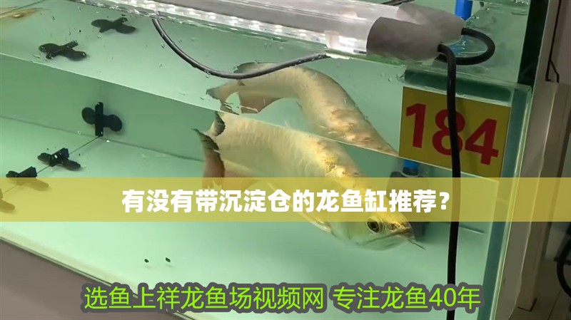 有沒(méi)有帶沉淀倉(cāng)的龍魚(yú)缸推薦？