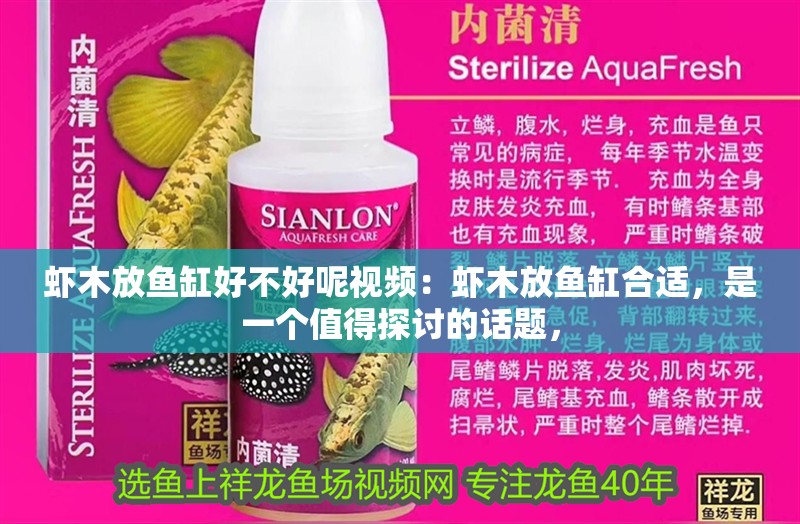 蝦木放魚缸好不好呢視頻：蝦木放魚缸合適，是一個值得探討的話題， 蝦木放魚缸好不好呢視頻：蝦木放魚缸合適，是一個值得探討的話題， 魚缸百科