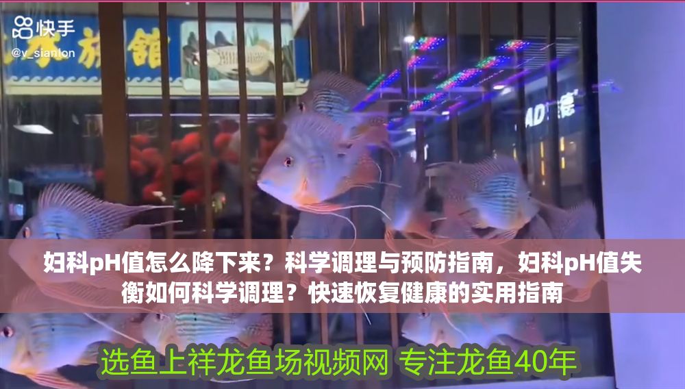 婦科pH值怎么降下來？科學調理與預防指南，婦科pH值失衡如何科學調理？快速恢復健康的實用指南