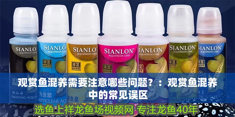 觀賞魚混養(yǎng)需要注意哪些問題？：觀賞魚混養(yǎng)中的常見誤區(qū)