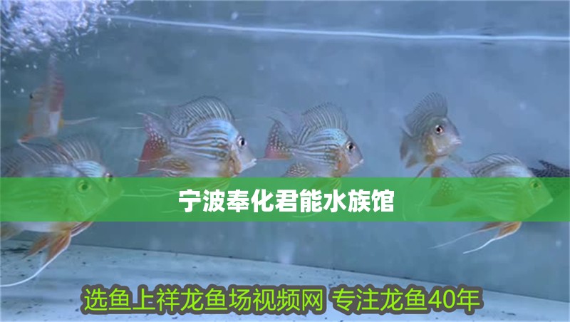 寧波奉化君能水族館