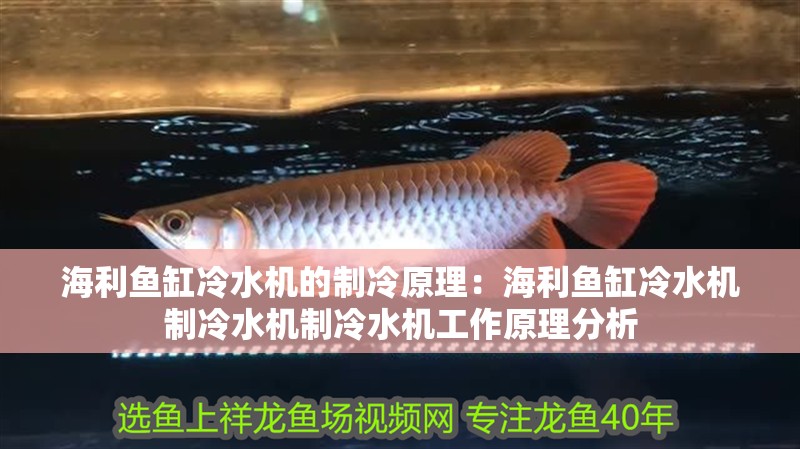 海利魚缸冷水機的制冷原理：海利魚缸冷水機制冷水機制冷水機工作原理分析 海利魚缸冷水機的制冷原理：海利魚缸冷水機制冷水機制冷水機工作原理分析 魚缸百科